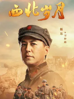 靳东剧照