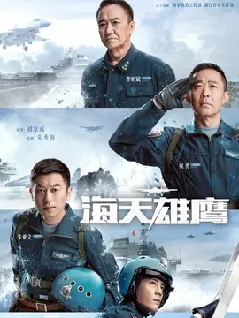 海天雄鹰,介绍海报